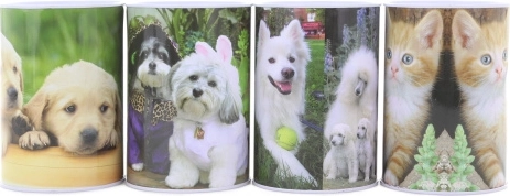 Metall-Spardose mit Hunden und Katzen