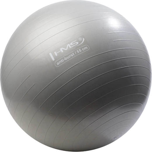 Ballon de gym HMS 55 cm gris