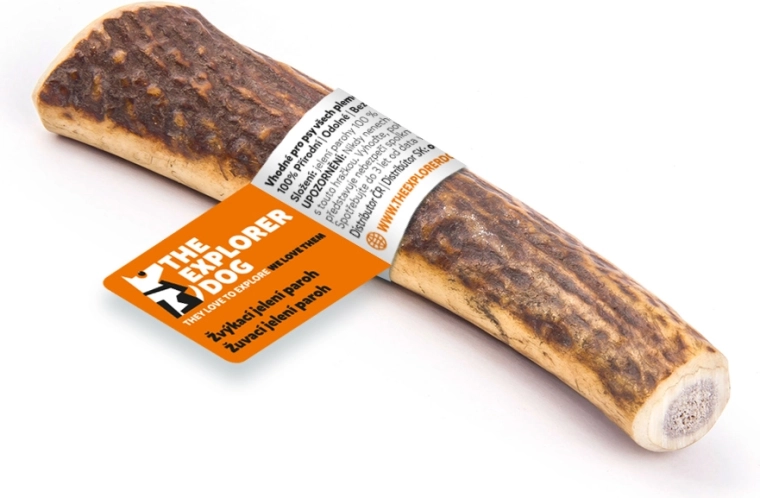 Explorer Dog Chewing Deer Antler S – hard