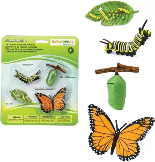 Safari Ltd. Monarch Butterfly Life Cycle