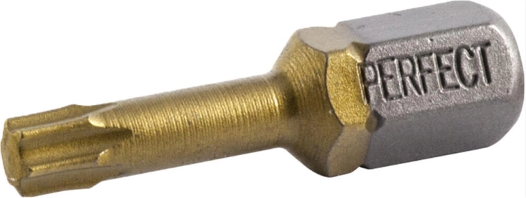 Embout TORX T25 25 mm (2 pcs) STALCO TITAN