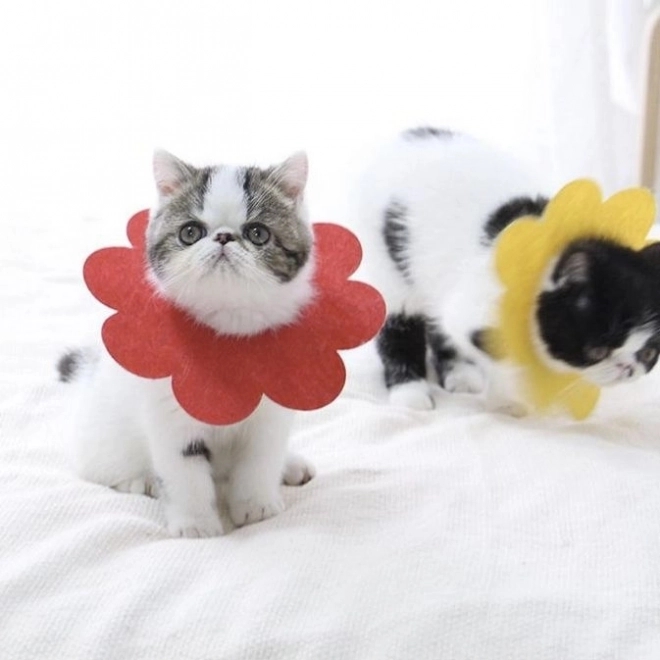 Zachte postoperatieve beschermkraag voor huisdieren, rood – maat L