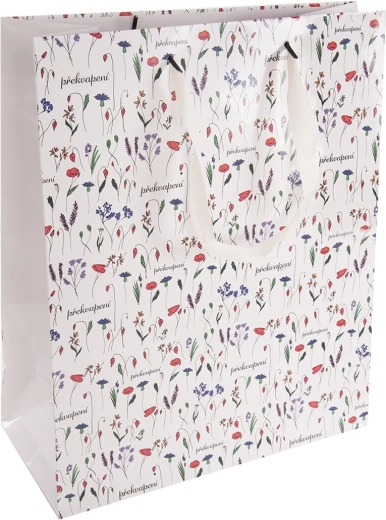 Sac cadeau en papier Surprise 26 × 12 × 32 cm