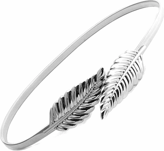 Bq53h damesriem 68-100cm zilverkleurig