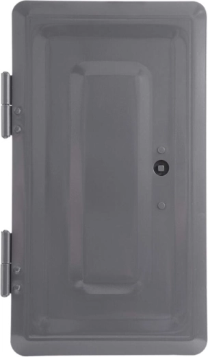 Double porte de cheminée grise 160 × 320 mm