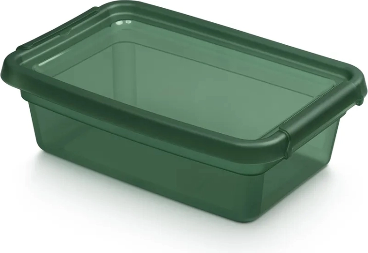 BASESTORE Aufbewahrungsbox aus Kunststoff mit Deckel und Clips 3 l, PINE