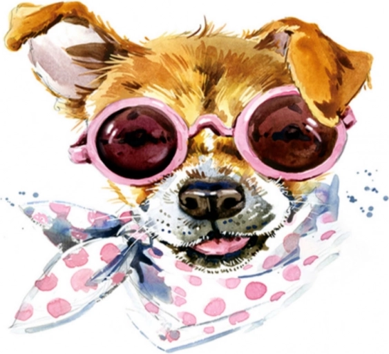 Diamantmozaïek (diamond painting) hond met sjaaltje 35 × 35 cm