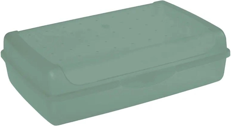 Luca click box maxi storage box with lid 3.7 l, green