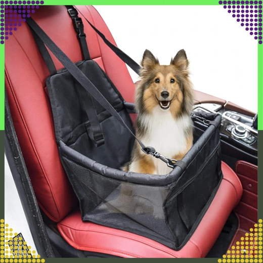 Car seat and travel box for dog and cat