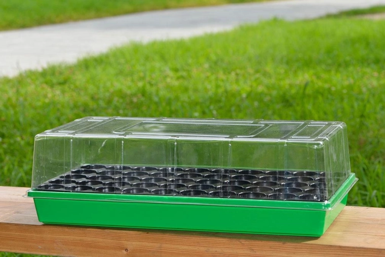 Plateau de semis en plastique avec couvercle 55 × 29 × 16 cm