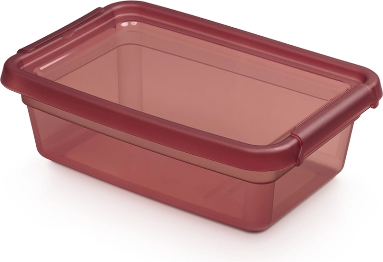 Basestore Aufbewahrungsbox mit Deckel und Clips 3 l, 19 × 28 × 9 cm, Rhubarb