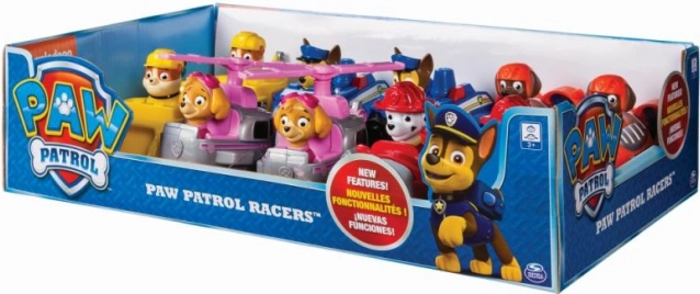 Paw Patrol Voertuigen met Reddingsfiguren