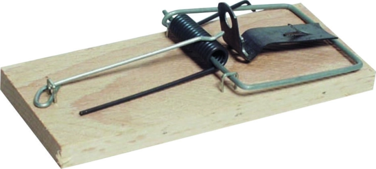 Klassieke houten muizenval van beukenhout