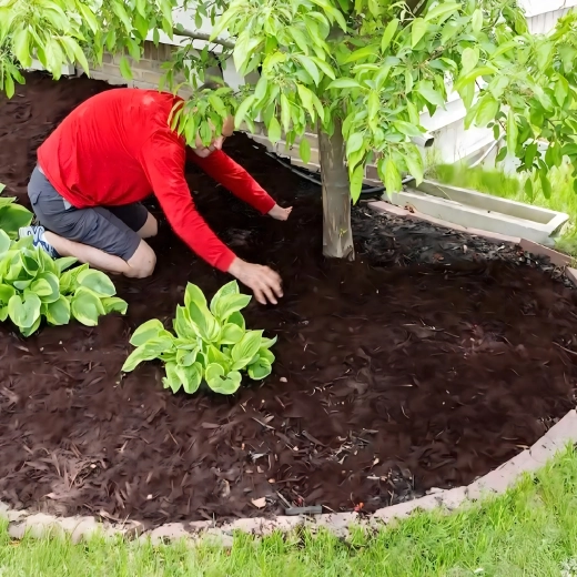 Tuintextiel tegen onkruid 70 g/m², 1,1 × 50 m, zwart, UV-gestabiliseerd