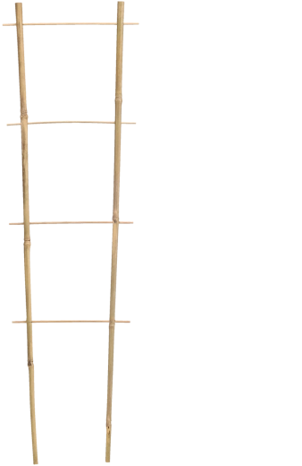 Bamboe steun – ladder 120 cm