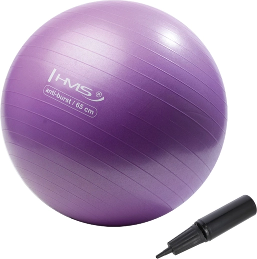 Ballon de gymnastique HMS 65 cm violet