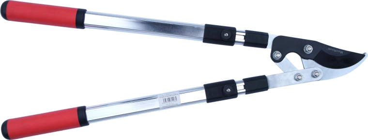 Sécateur télescopique pour grosses branches avec démultiplication