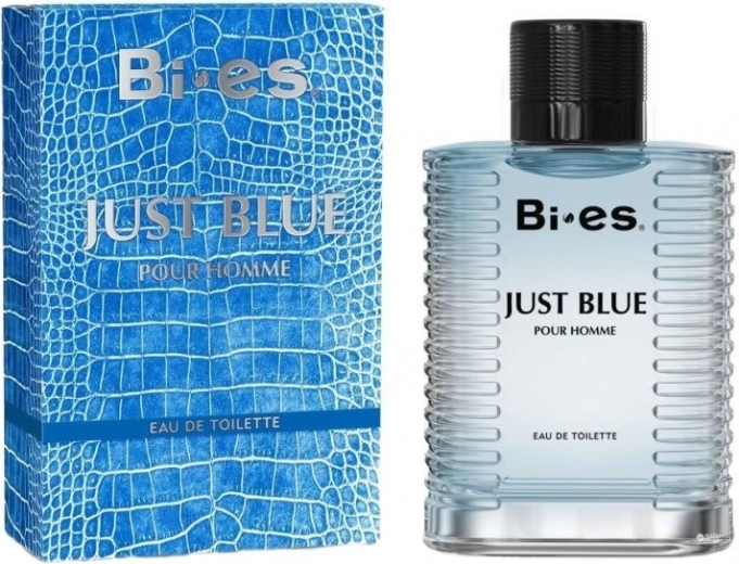 BI-ES Just Blue heren eau de toilette 100 ml