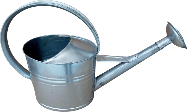Arrosoir de jardin galvanisé avec pomme 5 l