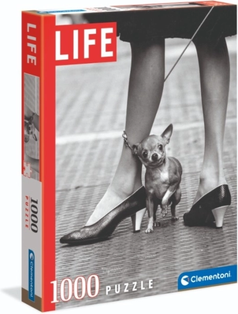 Puzzle Clementoni Life chihuahua 1000 pièces – Chihuahua