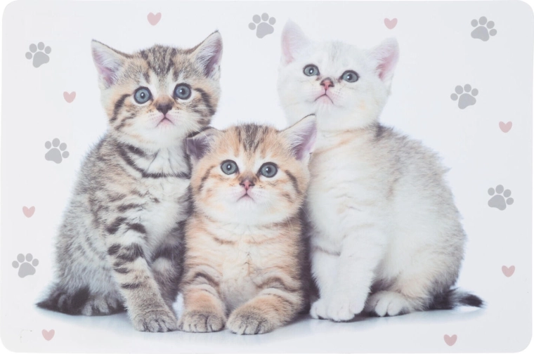 Kunststof kinderplacemat met dieren 43,5 × 28,5 cm