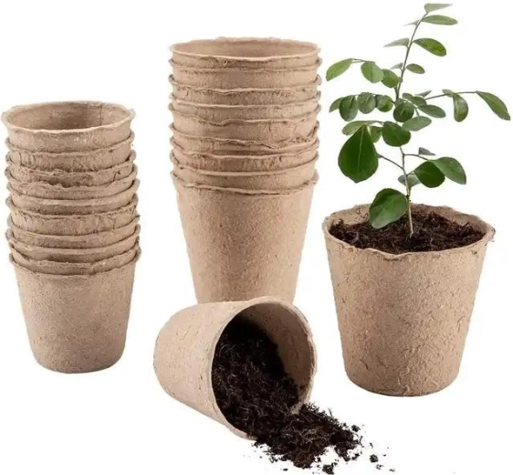 Papieren kweekpotjes 6 × 6 cm, verpakking 36 stuks