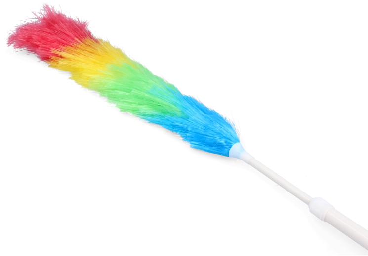Telescopic duster