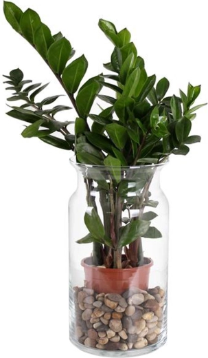 Glazen vaas Bose 15,5 × 29,5 cm