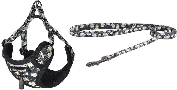 DOGNESS wandelset riem 1,5 m + hondenharnas – bloemenpatroon