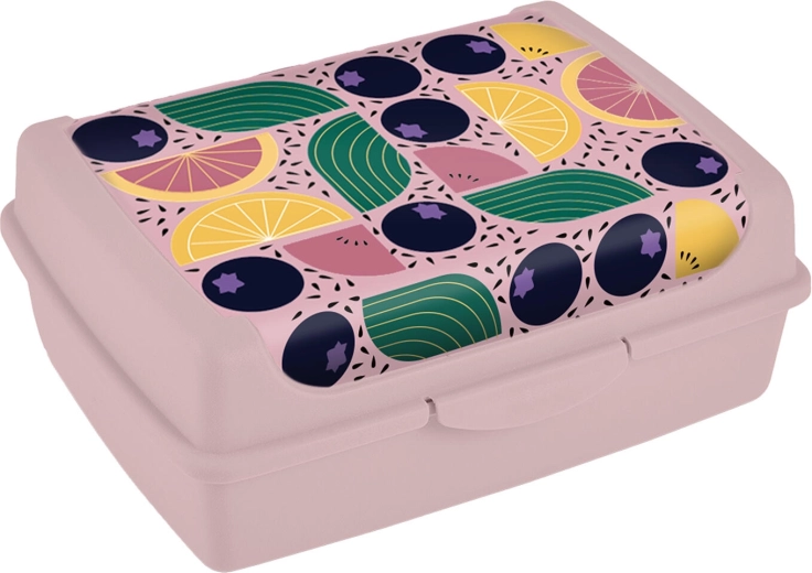 Lunchbox met clipsluiting 17 × 13 × 6,5 cm