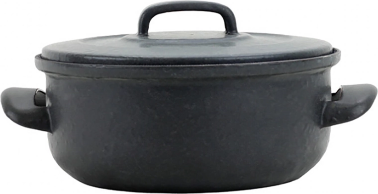Steelpan met deksel BSE 24 cm, 4 l