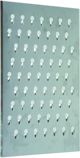 Vervangplaat voor bietenschaaf 210 × 320 mm