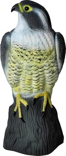 Realistic Falcon Decoy – Large Bird Repellent for Gardens and Balconies