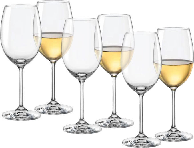 Lara Wine Glasses 250 ml (6 pcs)