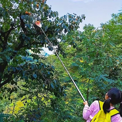 Fruit picker with basket and bag for telescopic pole