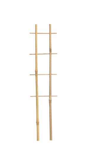 Bamboe dubbele plantensteun 37 cm