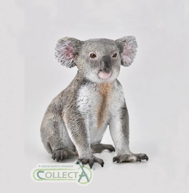 Koala-collectie