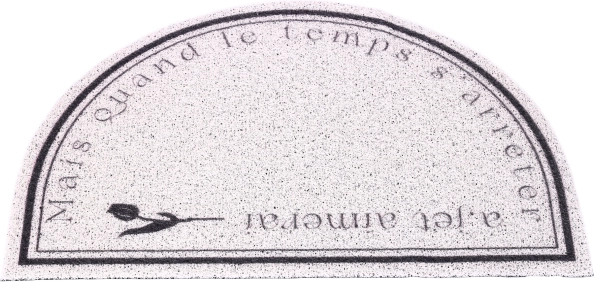 Tapijt, deurmat, antislip entree-mat 50 x 80 cm type 3