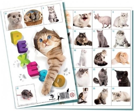 Cat Memory Game