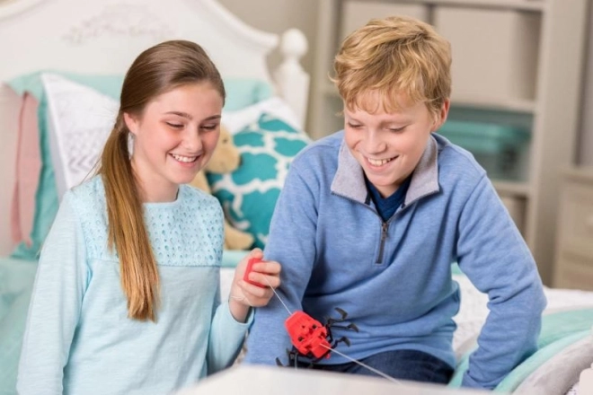 4M Spinnenrobot voor Kinderen