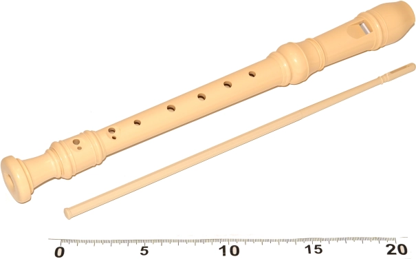 Recorder for children