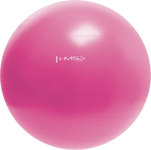 Ballon de gymnastique HMS 55 cm rose