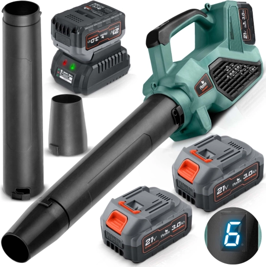 PLONOS 21 V Cordless Leaf Blower with 2 Batteries