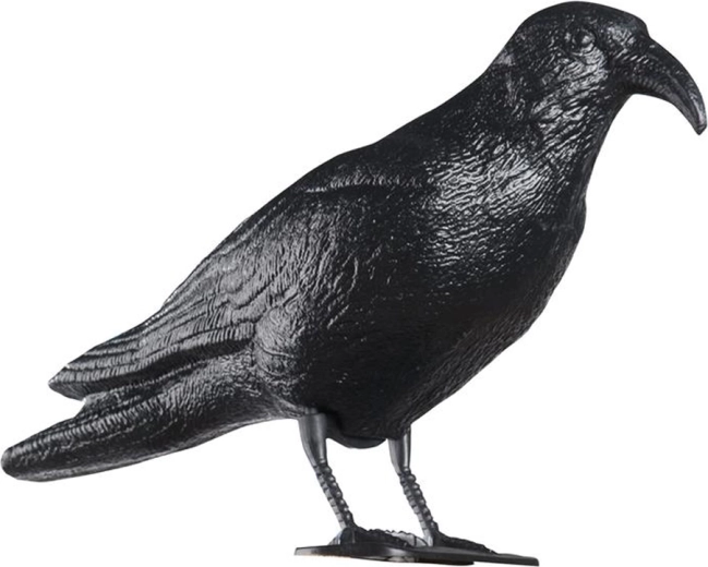 Répulsif pour pigeons en plastique – Corbeau