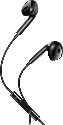 Écouteurs filaires Maxlife MXEP-04 USB-C noirs