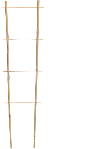 Bamboe tuinsupport – ladder 120 × 35 cm, diameter 10/12 mm