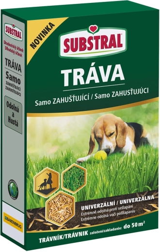 Zelfverdichtend graszaadmengsel EVERGREEN 1 kg