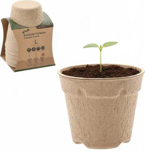 Lot de 5 pots de tourbe 10 × 10 cm