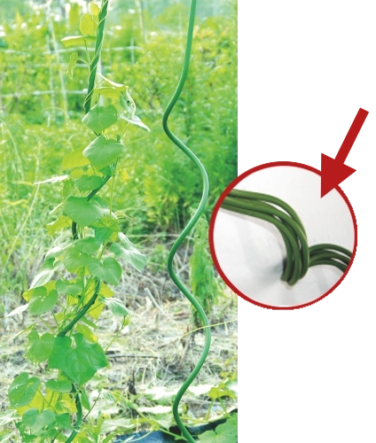 Spirale plantensteun 180 cm, diameter 11 mm