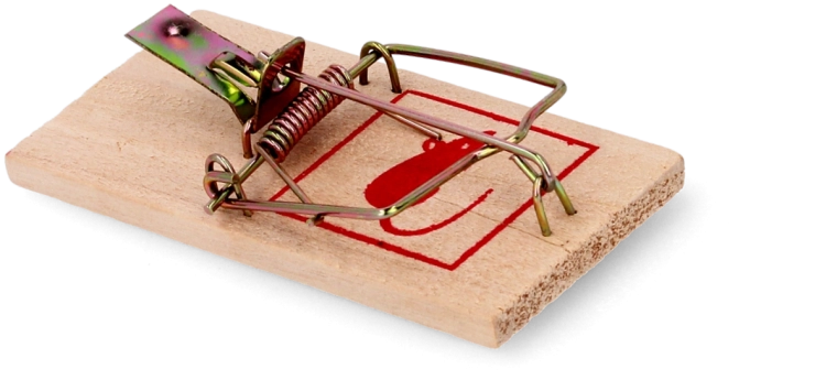 Wooden mouse trap 9.5 × 5 cm
